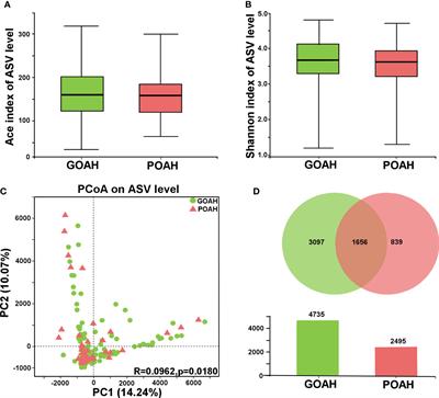 Gut microbiota signature as predictors of adverse outcomes after acute ischemic stroke in patients with hyperlipidemia